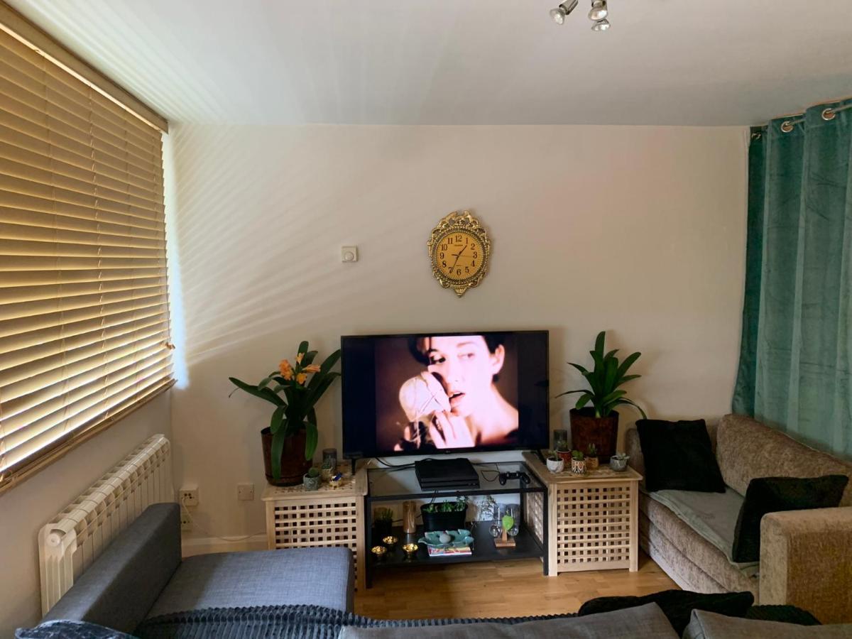 ロンドンGarden Beautiful Cozy Flat , Recent Decorated.アパートメント エクステリア 写真