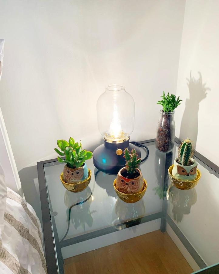 ロンドンGarden Beautiful Cozy Flat , Recent Decorated.アパートメント エクステリア 写真