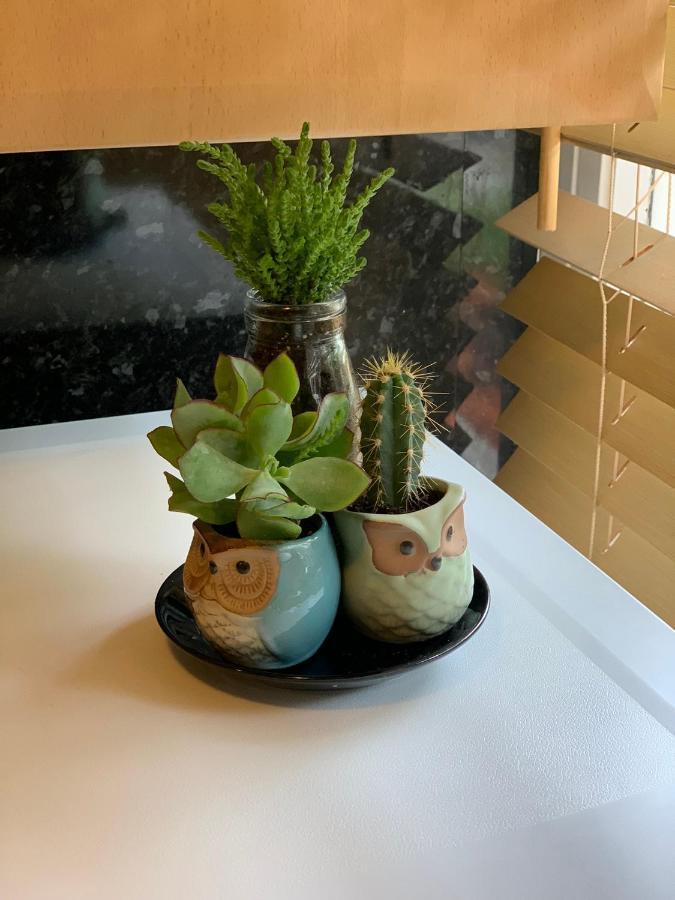 ロンドンGarden Beautiful Cozy Flat , Recent Decorated.アパートメント エクステリア 写真